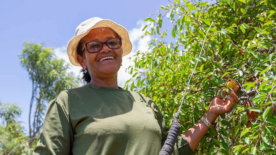Catadora de mangaba dans l'écosystème de restinga, Sergipe, Brésil